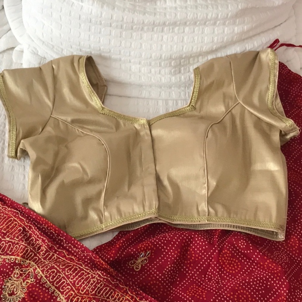 Sari, Sahree. Saree Red & Gold